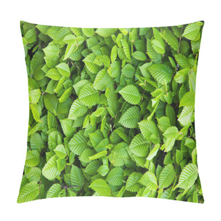 Personality  Green Leaves Background Pillow Covers