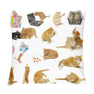 Personality  Cat Collection On White Background Pillow Covers