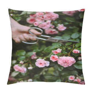 Personality  Pink Roses Blooming In The Garden. Pink Roses Blooming In The Ga Pillow Covers