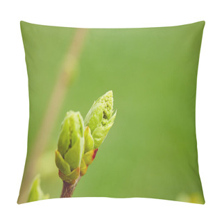 Personality  First Spring Buds Pillow Covers