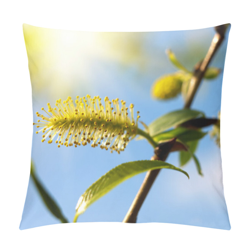 Personality  Blooming willow tree. pillow covers