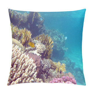 Personality  Colorful Coral Reef With Hard Corals At The Bottom Of Tropical Sea Pillow Covers
