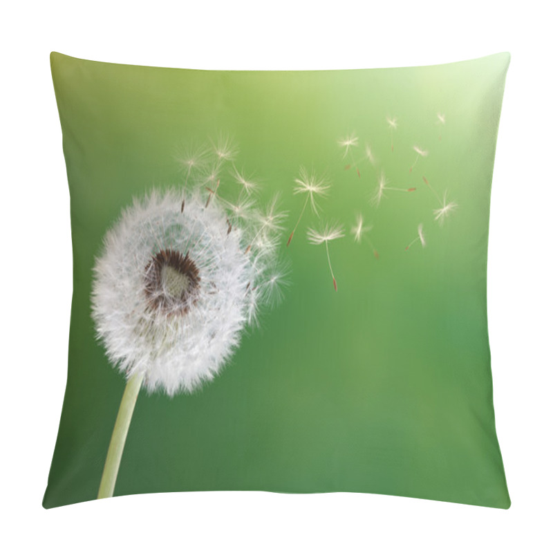 Personality  Dandelion clock in morning sun pillow covers