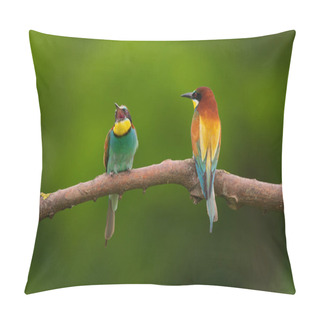 Personality  European Bee-Eater - Merops Apiaster On A Branch , Exotic Colorful Migratory Bird Pillow Covers