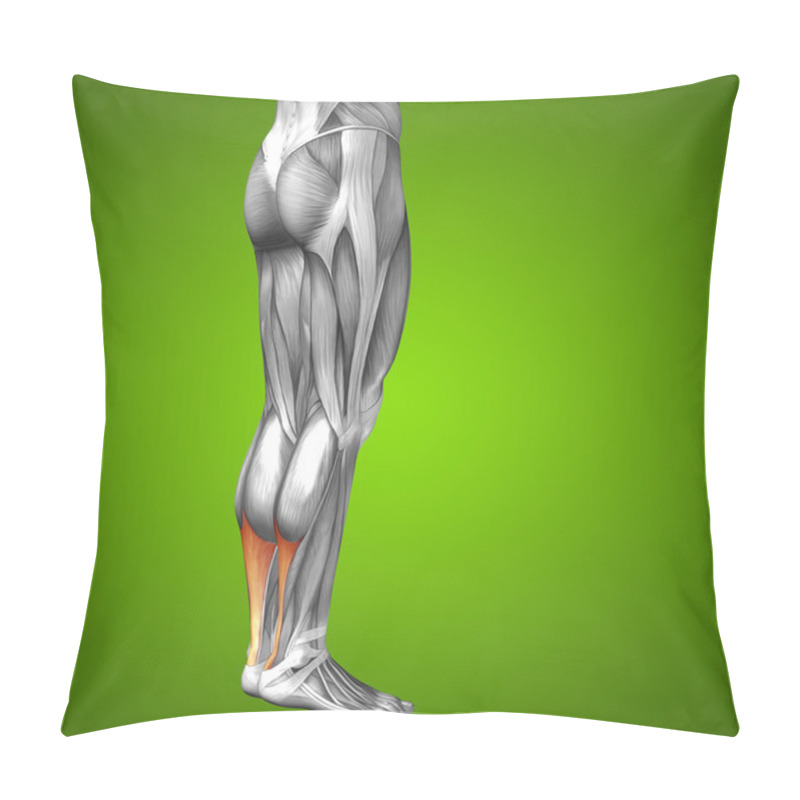 Personality  human lower legs anatomy pillow covers