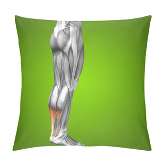Personality  Human Lower Legs Anatomy Pillow Covers
