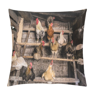 Personality  Chicken And Rooster In The Chicken Coop Agriculture /photo Of The Village Chicken Coop.in The Barn Roosts.on A Perch Sitting Hens And A Rooster.birds With Colored Feathers.get Ready For Bed.the Building Is Old. Pillow Covers