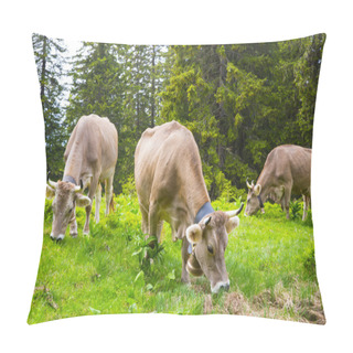 Personality  Brown Milk Cow In A Meadow Of Grass And Wildflowers In Forest Pillow Covers