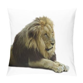 Personality  African Lion On White Pillow Covers