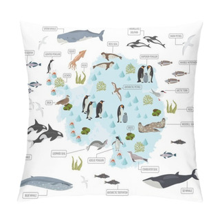 Personality  Antarctic, Antarctica,  Flora And Fauna Map, Flat Elements. Anim Pillow Covers