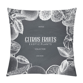 Personality  Ink Hand Drawn Design With Citrus Fruits On Chalkboard. Pillow Covers