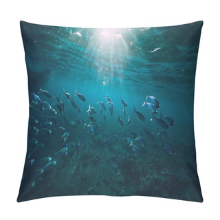 Personality  Underwater World With School Fish Swim Above Coral Reef  Pillow Covers