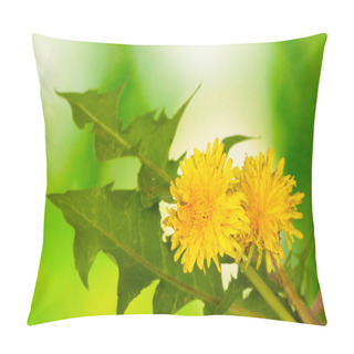 Personality  Dandelion Flowers And Leaves On Green Background Pillow Covers