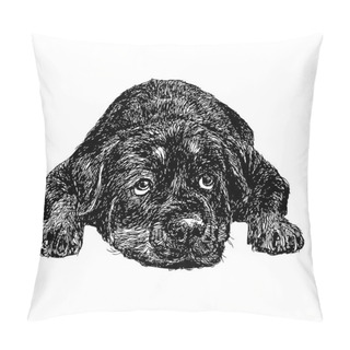 Personality  Rottweiler Pillow Covers