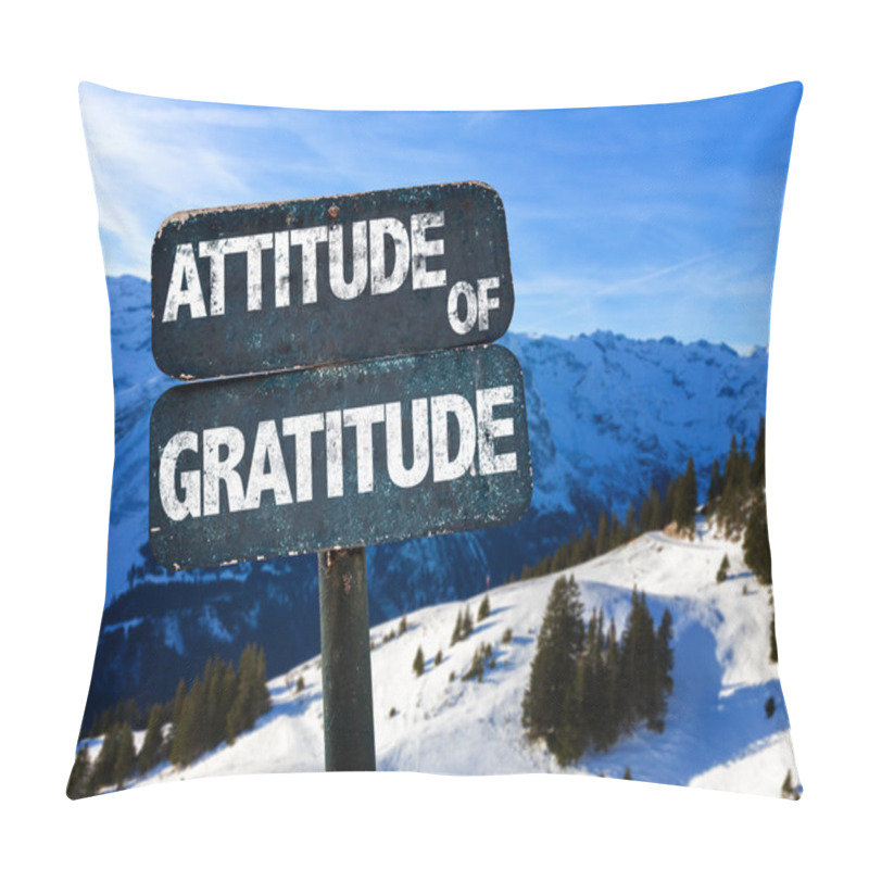 Personality  Attitude Of Gratitude Sign Pillow Covers