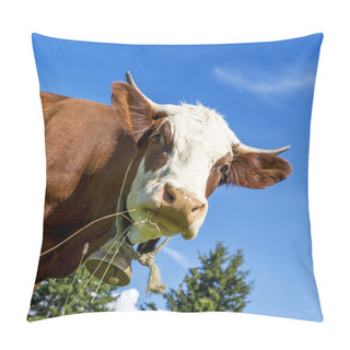 Personality  Alpine Cow Pillow Covers