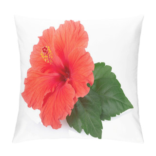 Personality  Red Hibiscus Flower Isolated On White Pillow Covers