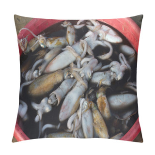 Personality  Freshly Caught Squids Pillow Covers