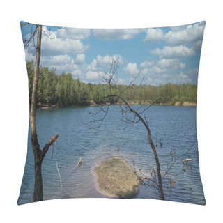 Personality  This Composition Captures The Essence Of A Secluded Water Haven, Characterized By A Pristine Lake Bordered By Lush Trees. In The Foreground, A Sparsely Leaved Tree Gracefully Arches Over The Water Pillow Covers