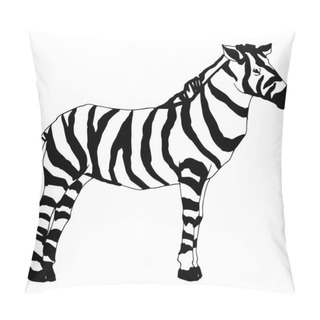 Personality  Vector Exotic Zebra Wild Animal Isolated. Black And White Engraved Ink Art. Isolated Animal Illustration Element. Pillow Covers