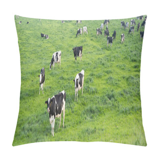 Personality  Black And White Spotted Cows In Green Grassy Meadow Under Blue Sky Seen From Height Of Dyke In The Netherlands Pillow Covers