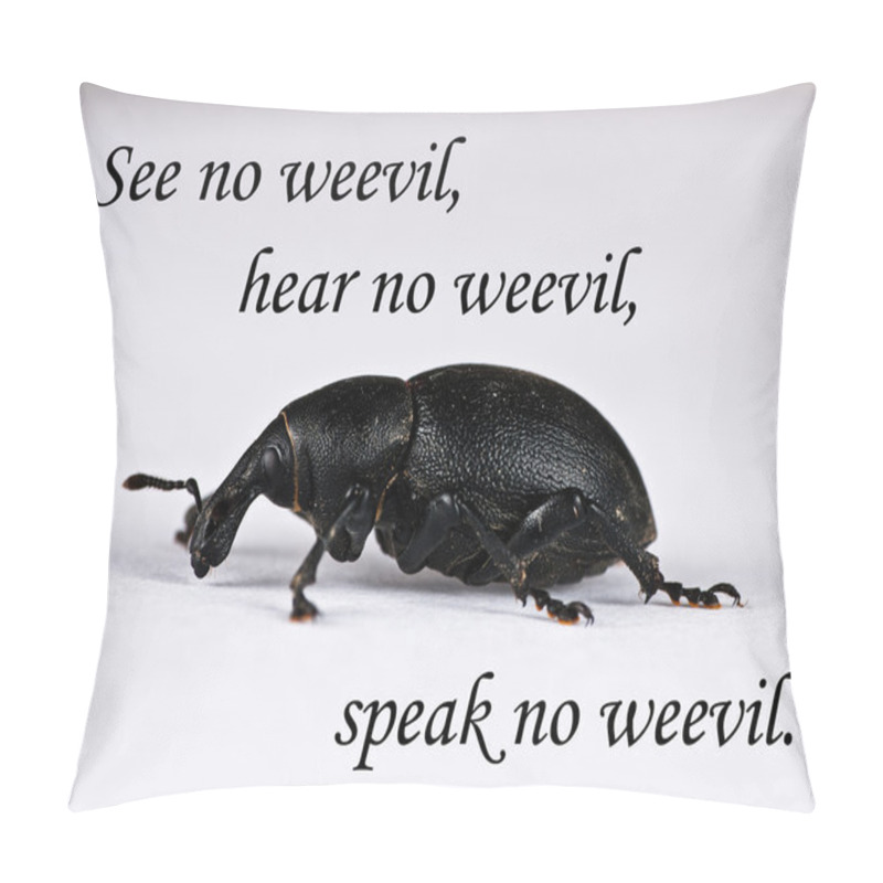 Personality  See no weevil - pest control pillow covers