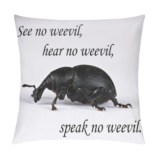 Personality  See No Weevil - Pest Control Pillow Covers