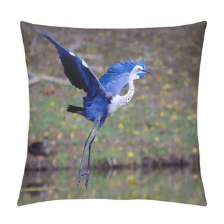 Personality  Blue Egret Pillow Covers