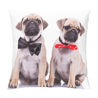 Personality  Lady And Gentleman Pug Puppy Dogs Pillow Covers