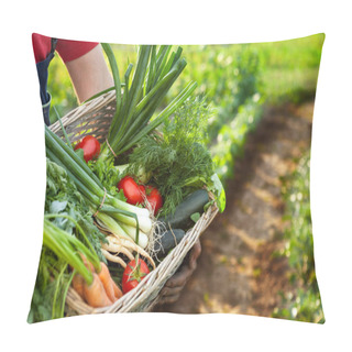Personality  Farmer Holding Basket With Mixed Vegetables Pillow Covers