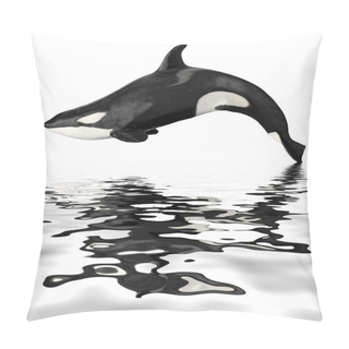 Personality  Isolated Killer Whale With Reflection Pillow Covers