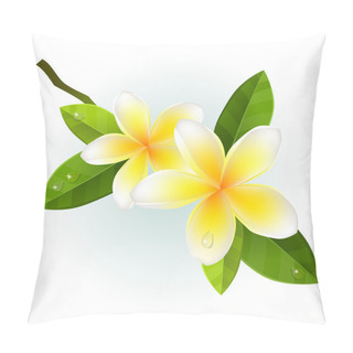Personality  Frangiapani Flowers Pillow Covers