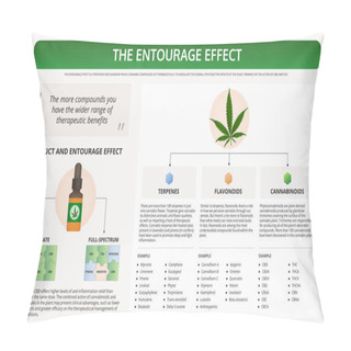 Personality  The Entourage Effect Horizontal Textbook Infographic Pillow Covers
