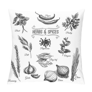 Personality  Vector Hand Drawn Set With Culinary Herbs And Spices.  Pillow Covers