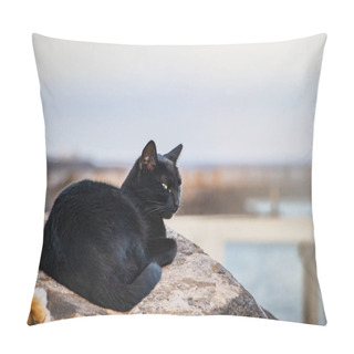 Personality  Black Cat Lying On Stone, Resting And Sleeping. In The Background Is The Sea And The Sunny Sky. It's In Furteventura, Canary Islands, Spain Pillow Covers