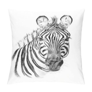 Personality  Portrait Of Zebra Drawn By Hand In Pencil Pillow Covers