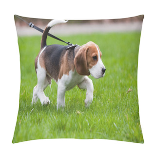 Personality  Beagle Dog On The Scent Pillow Covers