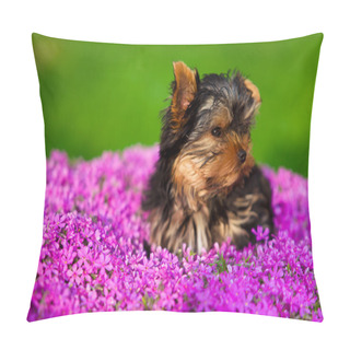 Personality  Lttle Dog Pillow Covers