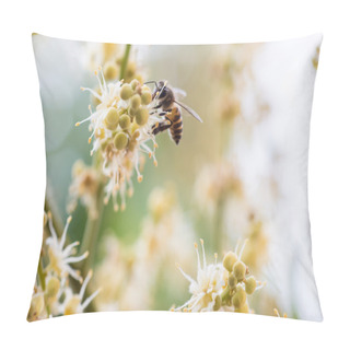 Personality  Working Bee Collects Flower Nectar From Longan Flower Pillow Covers