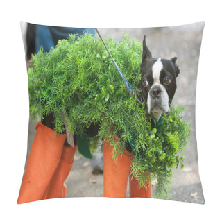 Personality  Dog Dressed In Chia Pet Costume For Halloween Pillow Covers