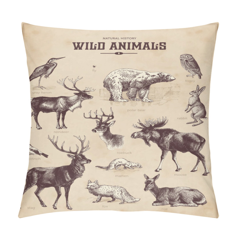 Personality  Vintage set of wild animals pillow covers