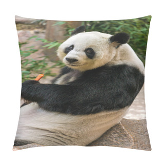 Personality  Giant Panda Eating Bamboo Pillow Covers