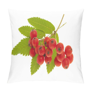 Personality  Mountain Ash Berries Pillow Covers