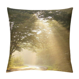 Personality  Sunbeams Falls Into The Misty Woods Pillow Covers