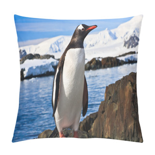 Personality  Penguin On The Stone Coast Of Antarctica, Mountains In The Background Pillow Covers