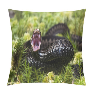 Personality  The Attack. Pillow Covers