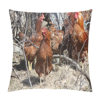 Personality  Rooster, Red Pillow Covers
