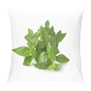 Personality  Pauiculata Leaves Isolated On White Background Pillow Covers