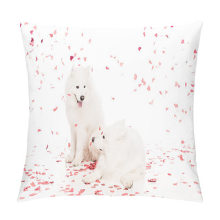 Personality  Two Samoyed Dogs Under Falling Heart Shaped Confetti On White, Valentines Day Concept Pillow Covers
