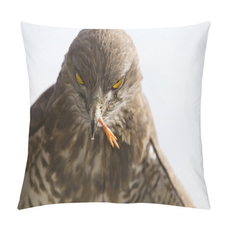 Personality  The Eye Of The Eagle Pillow Covers